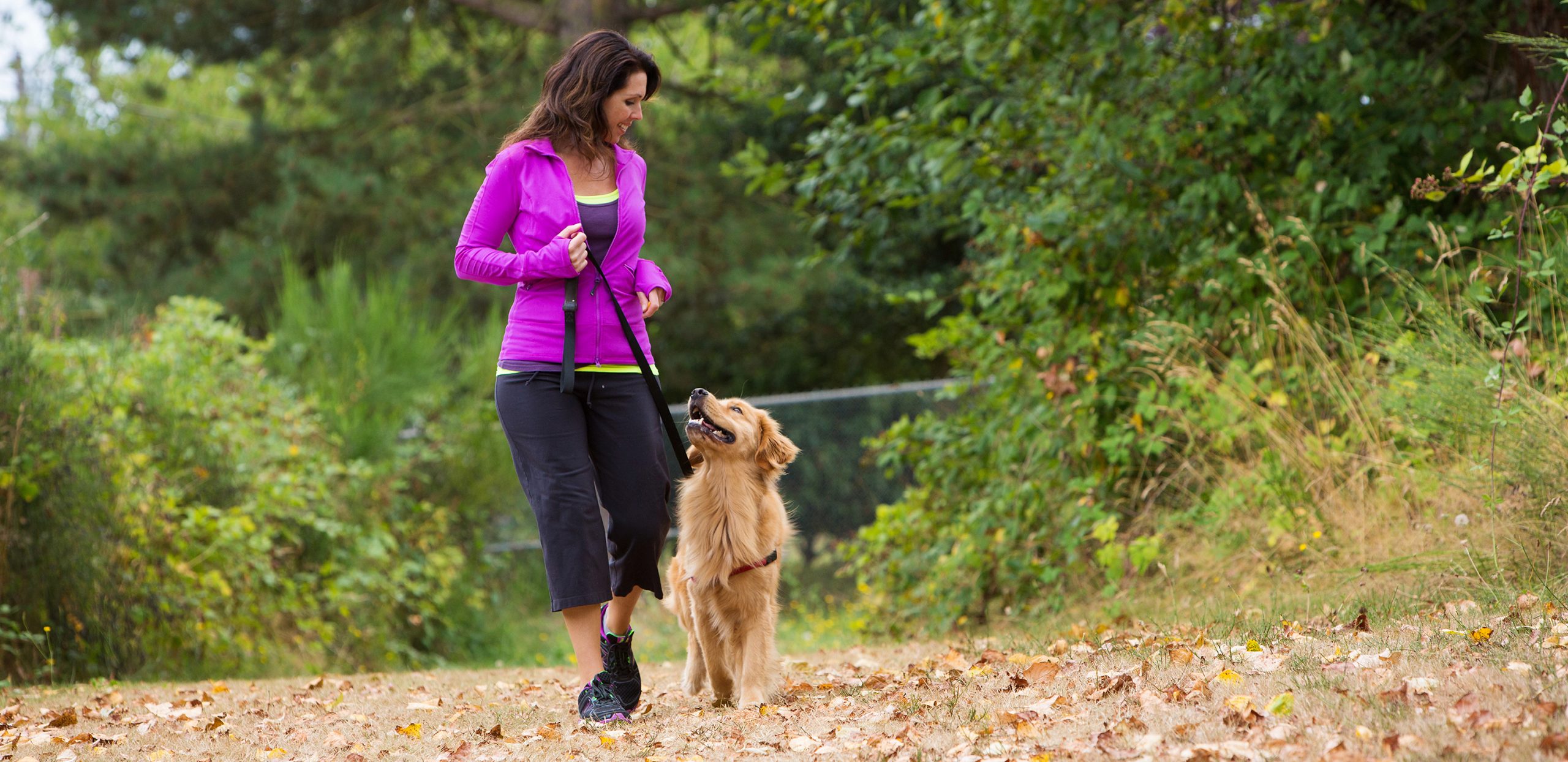 Hormônios Femininos: Maestros Ocultos da Saúde e Bem-Estar - 8 MIN DE LEITURA